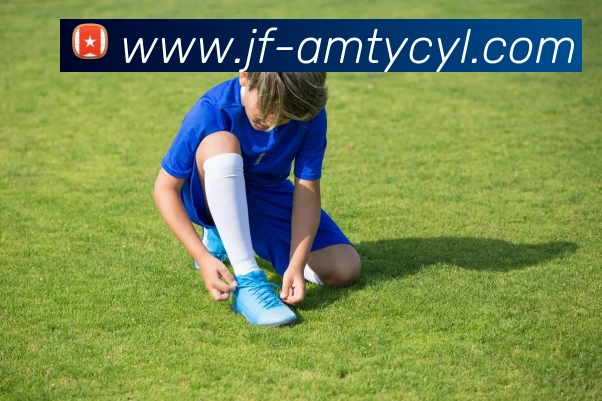 太阳城网站品牌故事